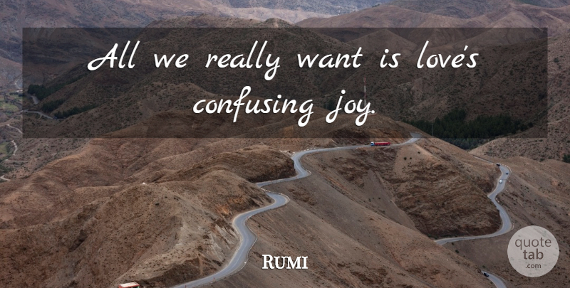 Rumi Quote About Joy, Confusing, Want: All We Really Want Is...