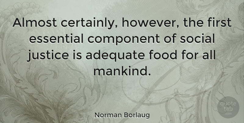 Norman Borlaug Quote About Justice, Adequate, Food Banks: Almost Certainly However The First...