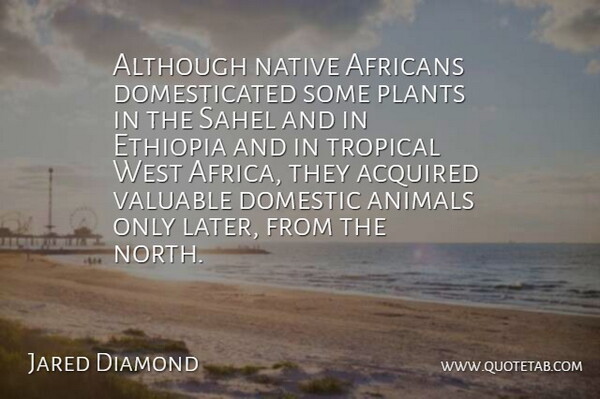 Jared Diamond Quote About Animal, West, Plant: Although Native Africans Domesticated Some...