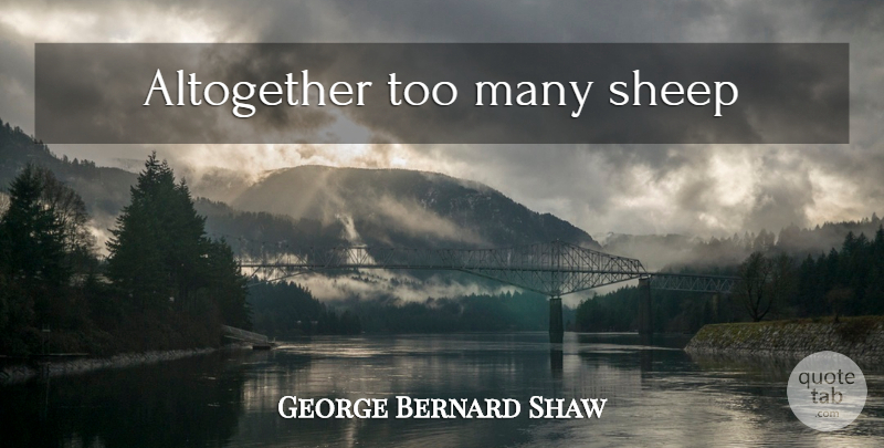 George Bernard Shaw Quote About Sheep, New Zealand: Altogether Too Many Sheep...