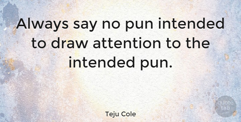 Teju Cole Quote About Attention, Pun, Draws: Always Say No Pun Intended...