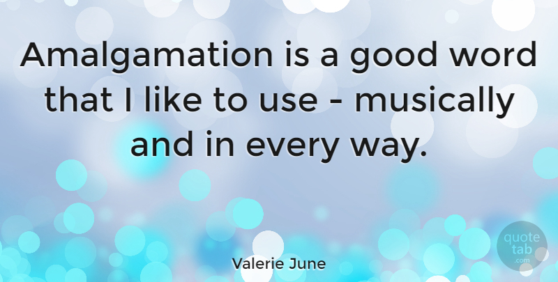 Valerie June Quote About Way, Use, Amalgamation: Amalgamation Is A Good Word...