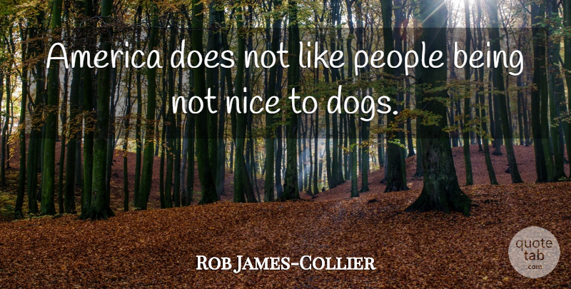 Rob James-Collier Quote About Dog, Nice, America: America Does Not Like People...