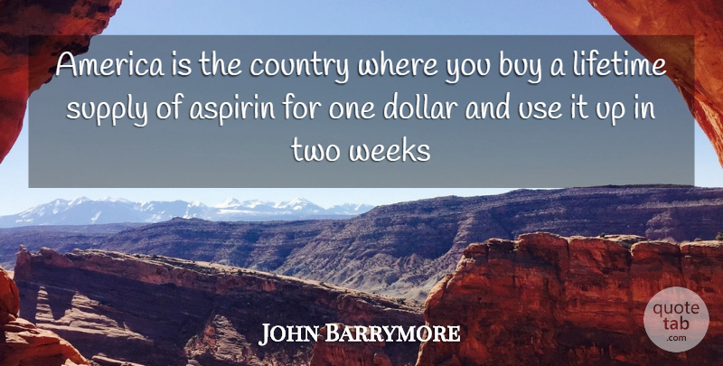 John Barrymore Quote About America, Buy, Country, Dollar, Lifetime: America Is The Country Where...