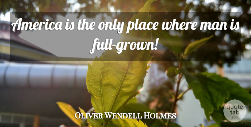 Oliver Wendell Holmes Quote About Military, Men, America: America Is The Only Place...
