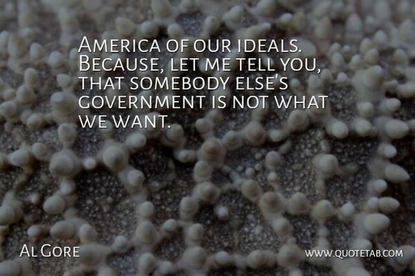 Al Gore Quote About America, Government, Somebody: America Of Our Ideals Because...