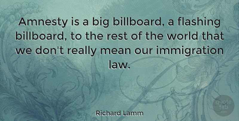 Richard Lamm Quote About Mean, Law, World: Amnesty Is A Big Billboard...
