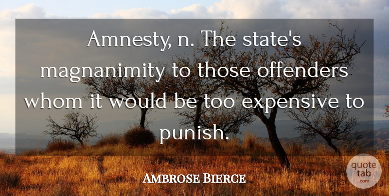 Ambrose Bierce Quote About Punishment, Amnesty, Would Be: Amnesty N The States Magnanimity...