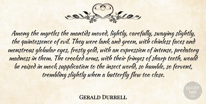Gerald Durrell Quote About Humble, Butterfly, Eye: Among The Myrtles The Mantids...