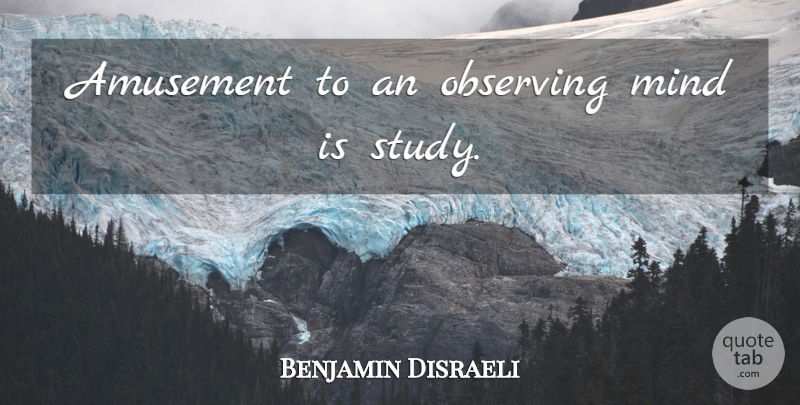 Benjamin Disraeli Quote About Mind, Amusement, Study: Amusement To An Observing Mind...