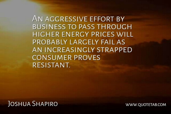 Joshua Shapiro Quote About Aggressive, Business, Consumer, Effort, Energy: An Aggressive Effort By Business...