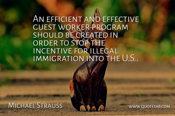 Michael Strauss Quote About Created, Effective, Efficient, Guest, Illegal: An Efficient And Effective Guest...