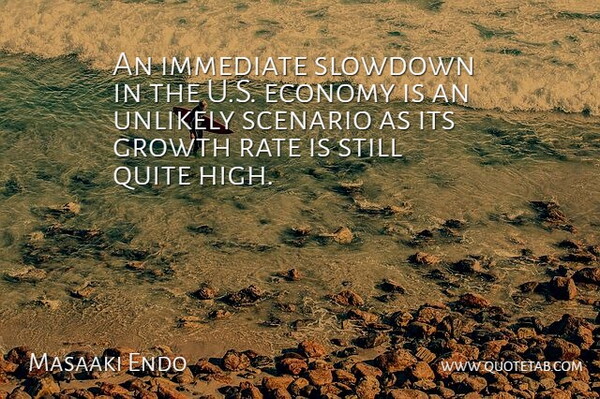 Masaaki Endo Quote About Economy, Economy And Economics, Growth, Immediate, Quite: An Immediate Slowdown In The...