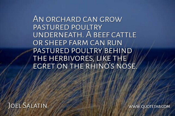 Joel Salatin Quote About Beef, Cattle, Farm, Poultry, Run: An Orchard Can Grow Pastured...