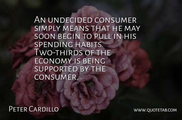 Peter Cardillo Quote About Begin, Consumer, Economy, Means, Pull: An Undecided Consumer Simply Means...
