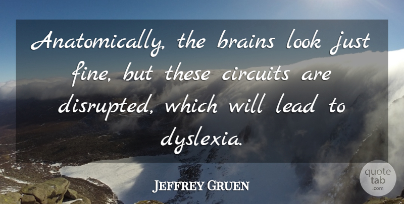 Jeffrey Gruen Quote About Brains, Circuits, Lead: Anatomically The Brains Look Just...
