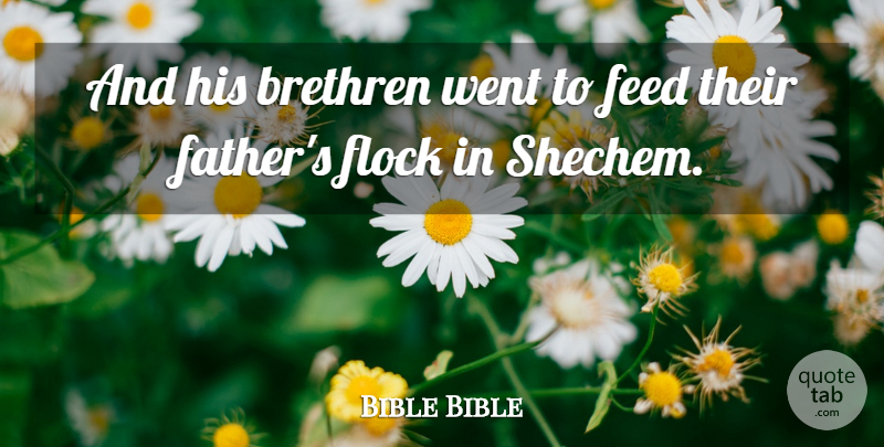 Bible Bible Quote About Brethren, Feed, Flock: And His Brethren Went To...