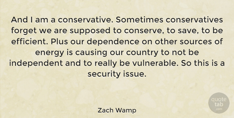 Zach Wamp Quote About Country, Independent, Issues: And I Am A Conservative...