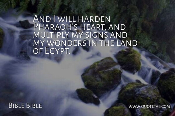 Bible Bible Quote About Heart, Land, Multiply, Signs, Wonders: And I Will Harden Pharaohs...