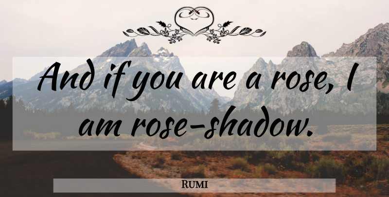 Rumi Quote About Rose, Shadow, Ifs: And If You Are A...