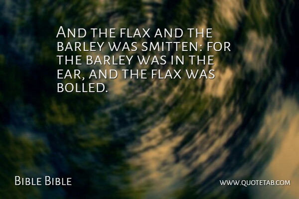 Bible Bible Quote About Barley: And The Flax And The...