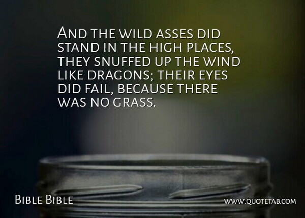 Bible Bible Quote About Eyes, High, Stand, Wild, Wind: And The Wild Asses Did...