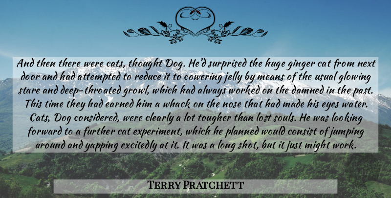 Terry Pratchett Quote About Dog, Mean, Cat: And Then There Were Cats...