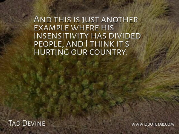 Tad Devine Quote About Divided, Example, Hurting: And This Is Just Another...