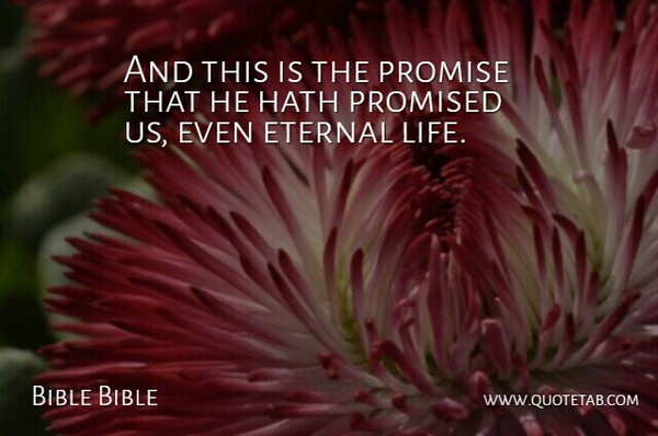 Bible Bible Quote About Eternal, Hath, Life, Promise, Promised: And This Is The Promise...