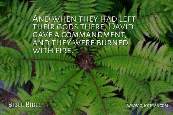 Bible Bible Quote About Burned, David, Fire, Gave, Gods: And When They Had Left...