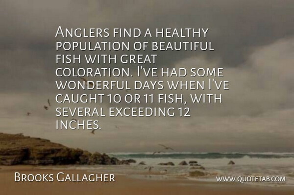 Brooks Gallagher Quote About Beautiful, Caught, Days, Exceeding, Fish: Anglers Find A Healthy Population...