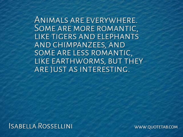Isabella Rossellini Quote About Less, Romantic, Tigers: Animals Are Everywhere Some Are...