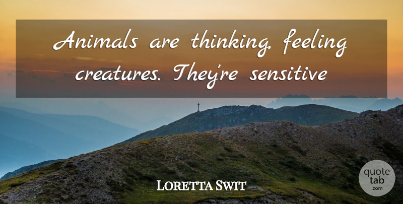 Loretta Swit Quote About Thinking, Animal, Feelings: Animals Are Thinking Feeling Creatures...