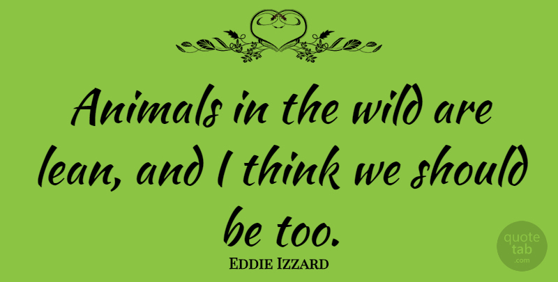 Eddie Izzard Quote About Thinking, Animal, Should: Animals In The Wild Are...
