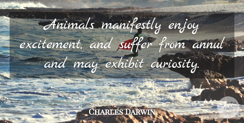 Charles Darwin Quote About Animal, Curiosity, Suffering: Animals Manifestly Enjoy Excitement And...