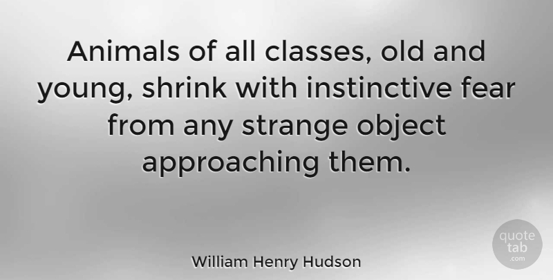 William Henry Hudson Quote About Animal, Class, Strange: Animals Of All Classes Old...