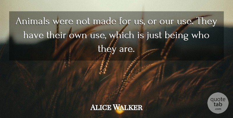 Alice Walker Quote About Animal, Use, Just Being: Animals Were Not Made For...