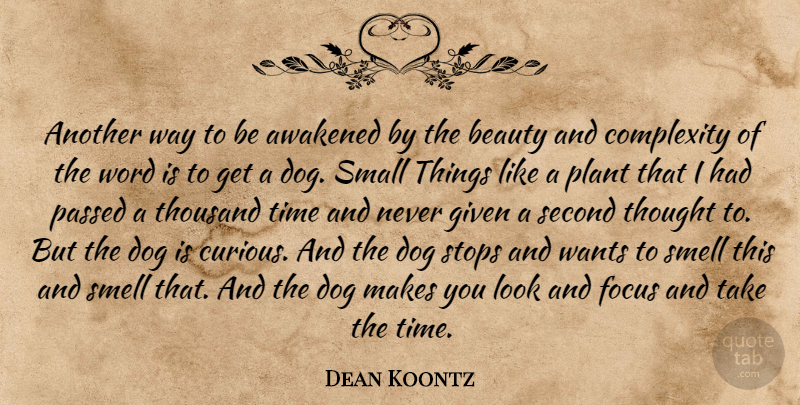 Dean Koontz Quote About Dog, Smell, Focus: Another Way To Be Awakened...