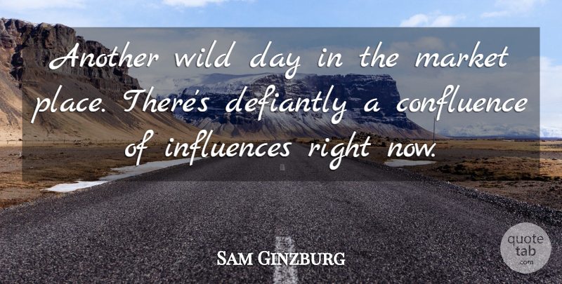 Sam Ginzburg Quote About Influences, Market, Wild: Another Wild Day In The...