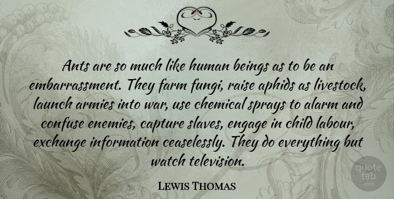 Lewis Thomas Quote About Children, War, Army: Ants Are So Much Like...