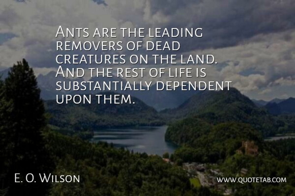 E. O. Wilson Quote About Land, Rest Of Life, Ants: Ants Are The Leading Removers...