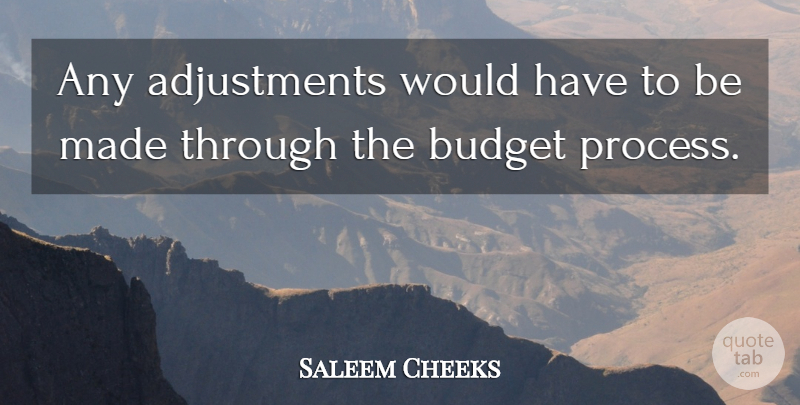 Saleem Cheeks Quote About Budget: Any Adjustments Would Have To...