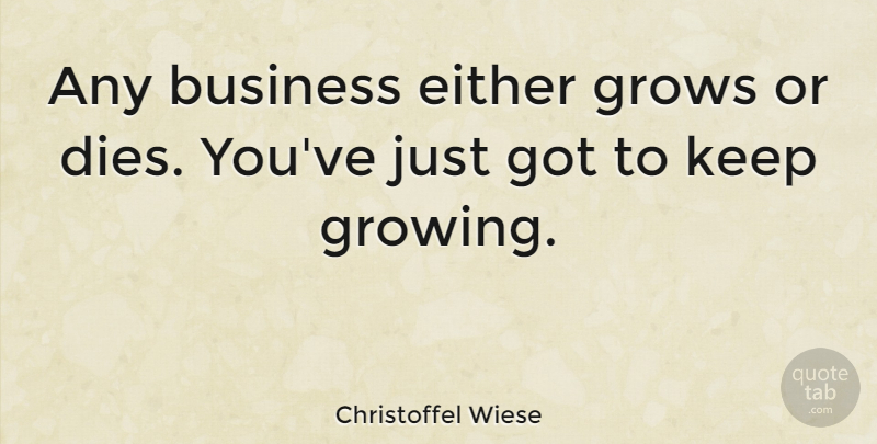 Christoffel Wiese Quote About Business, Either, Grows: Any Business Either Grows Or...