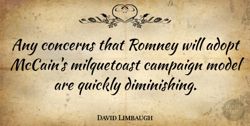 David Limbaugh Quote About Campaigns, Concern, Mccain: Any Concerns That Romney Will...
