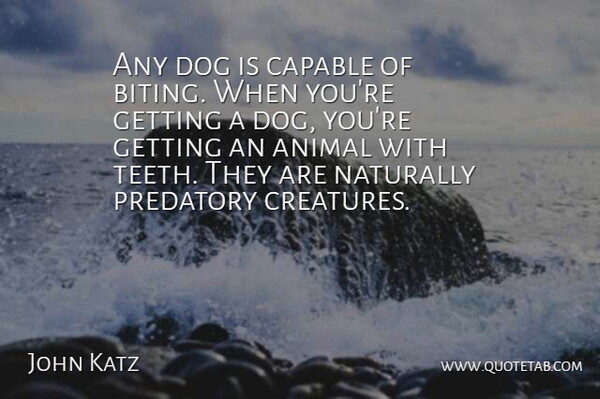 John Katz Quote About Animal, Capable, Dog, Naturally: Any Dog Is Capable Of...