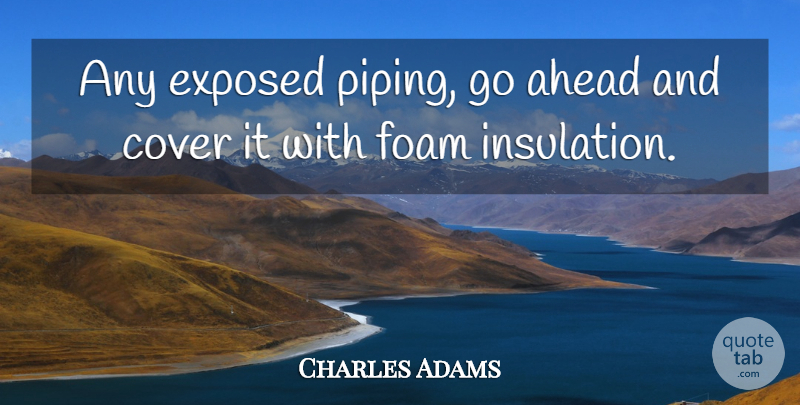 Charles Adams Quote About Ahead, Cover, Exposed: Any Exposed Piping Go Ahead...