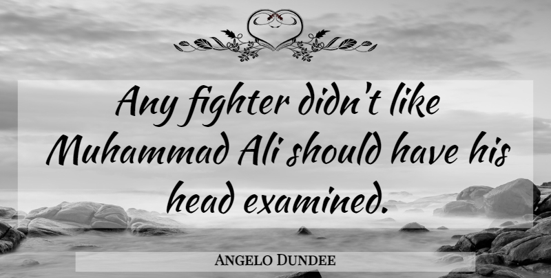 Angelo Dundee Quote About Should Have, Boxing, Fighter: Any Fighter Didnt Like Muhammad...