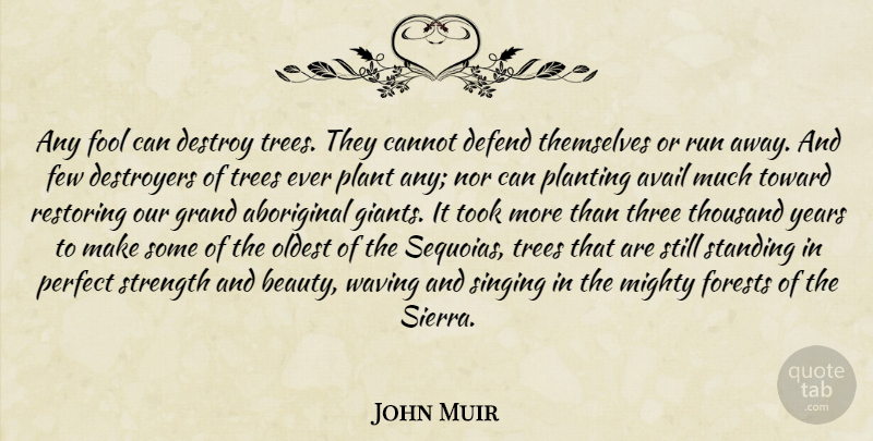 John Muir Quote About Aboriginal, Avail, Cannot, Defend, Destroy: Any Fool Can Destroy Trees...