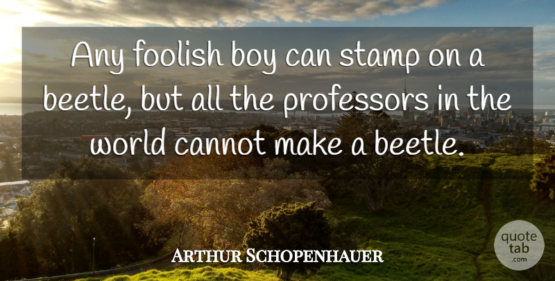 Arthur Schopenhauer Quote About Boys, World, Foolish: Any Foolish Boy Can Stamp...
