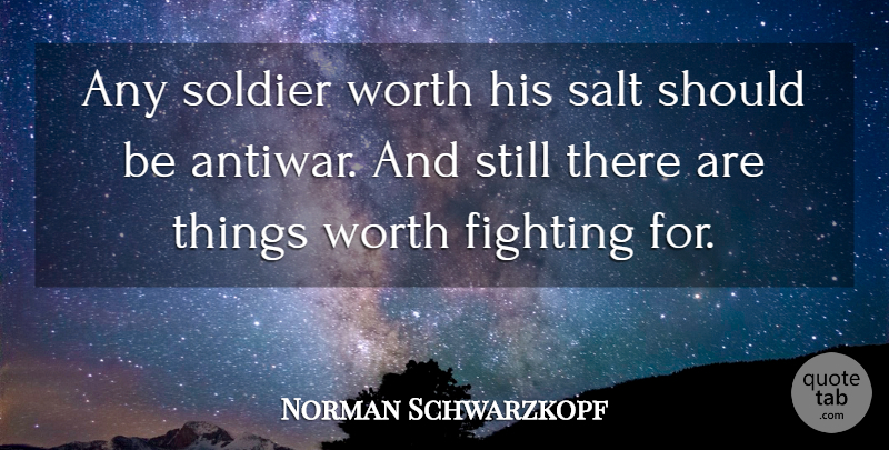 Norman Schwarzkopf Quote About Veterans Day, Fighting, Soldier: Any Soldier Worth His Salt...